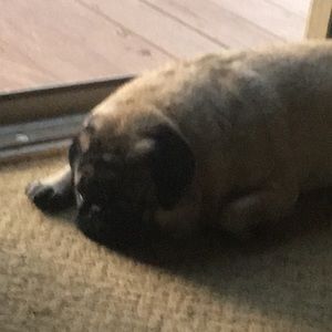 Meet your Posher, Brian